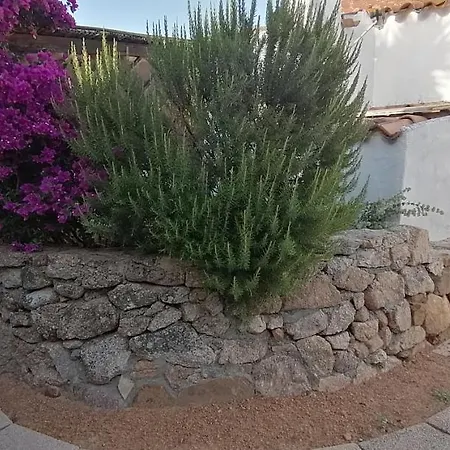 Stazzu Straetu * Olbia